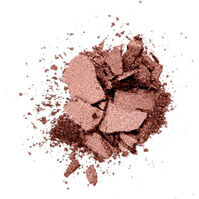 Color Icon Bronzer   2